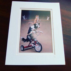 Rick Dublin "Balancing Act" art print dog on bike cat mouse 8x10 with border 5x7